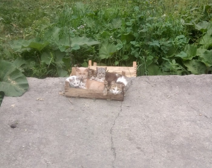 ������� ������