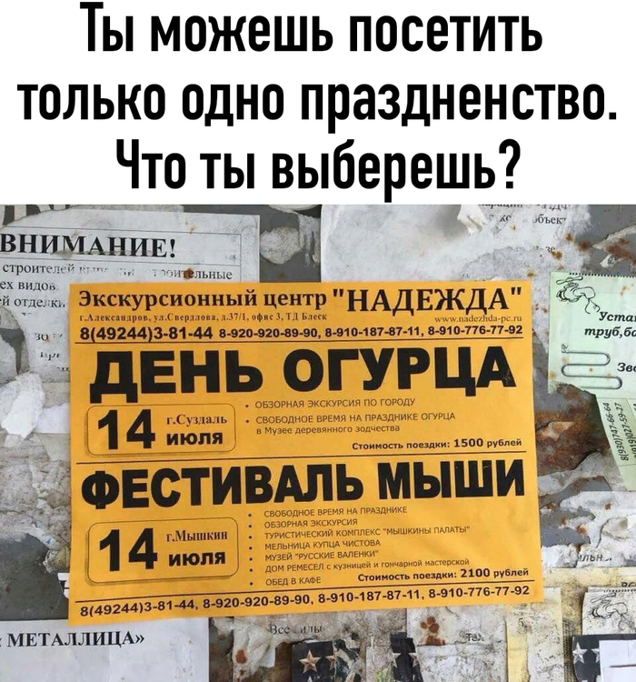 мем про огурцы на грядке. Смотреть фото мем про огурцы на грядке. Смотреть картинку мем про огурцы на грядке. Картинка про мем про огурцы на грядке. Фото мем про огурцы на грядке
