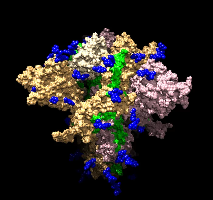 Our internal troops: antibodies - what happened next? - My, Immunity, Immunology, The medicine, Antibodies, Biology, GIF, Video, Longpost