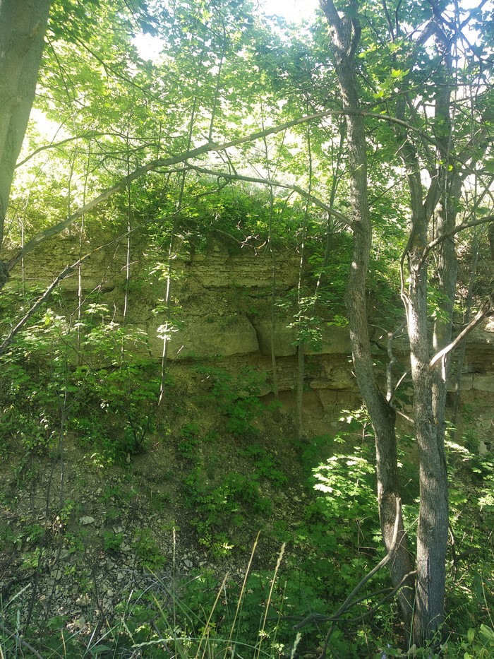 Путешествие выходного дня. Липецкая область. Часть 1 Автопутешествие, Фото на тапок, Липецкая область, Видео, Длиннопост