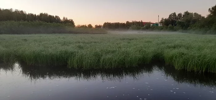 It's light now in the Arctic Circle - Arctic, Night