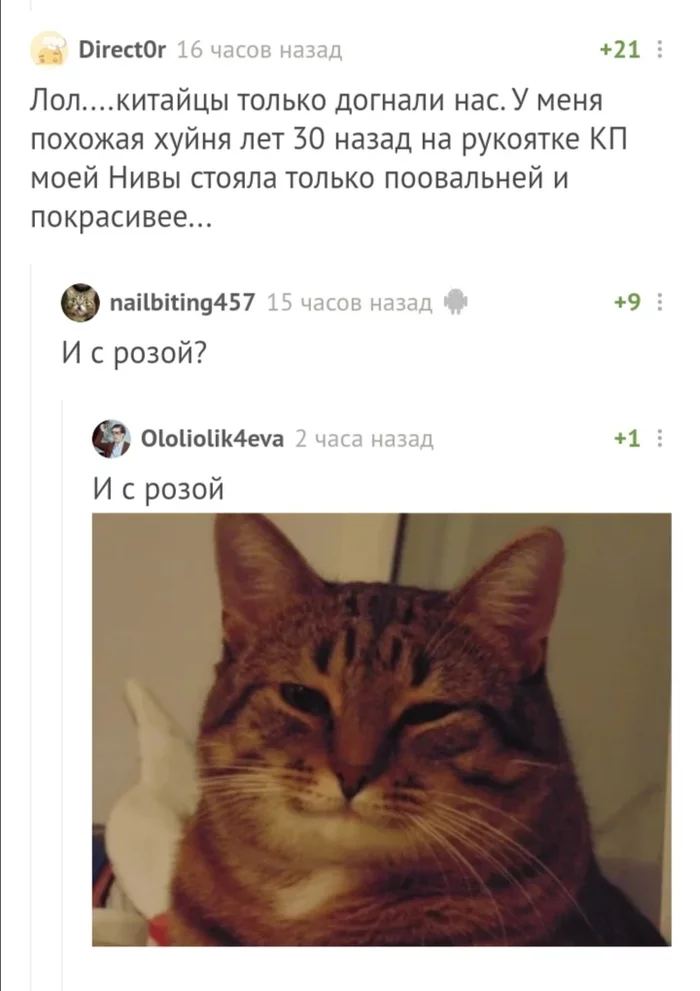 Post #7598944 - cat, Understanding cat, Comments on Peekaboo, Screenshot, Niva