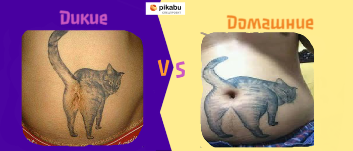 Коротко о последнем