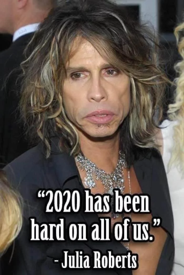 2020 has been a very difficult year for all of us. - Steve Tyler, Julia Roberts, 2020, Humor