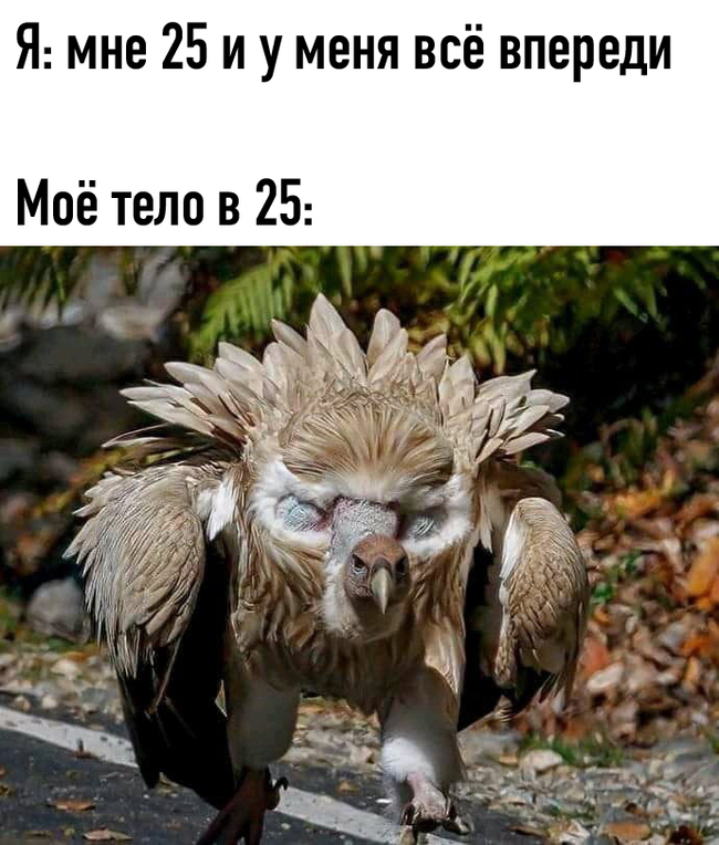 ����, �� ������, ��������� �� �� ����...