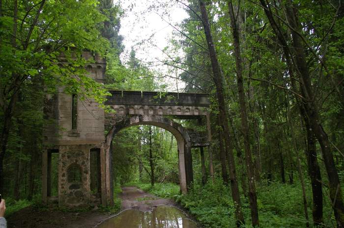 I think it's great. Nature in the Novgorod region - Nature, beauty, The buildings