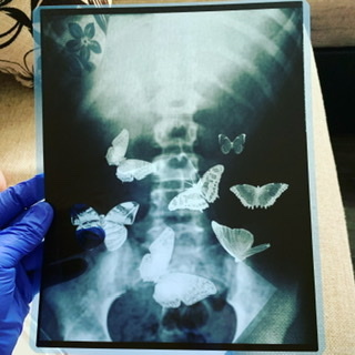 Gift from a radiologist-astronaut - X-ray, Space, Gratitude, Longpost