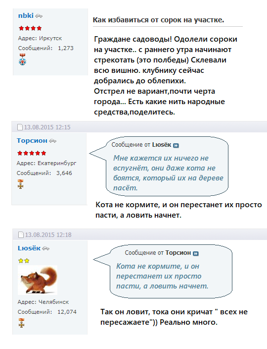 Get rid of forty - Comments, Comments on Peekaboo, Magpie, Dacha, Screenshot