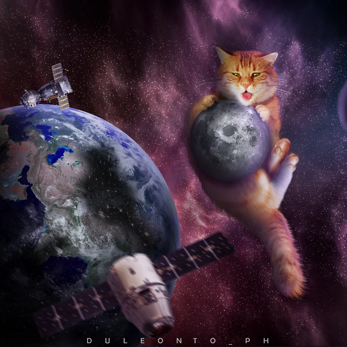 Caught the moon - My, Photomanipulation, cat, Space, Retouch, Collage, moon, Photoshop