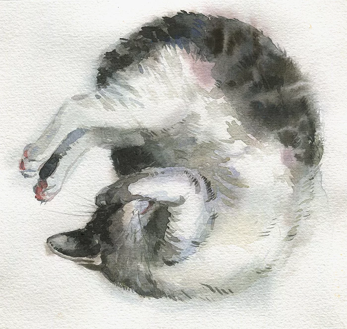 Sleeping Kuzya - My, Watercolor, cat, Dream, Pose, Sketch, Facepalm