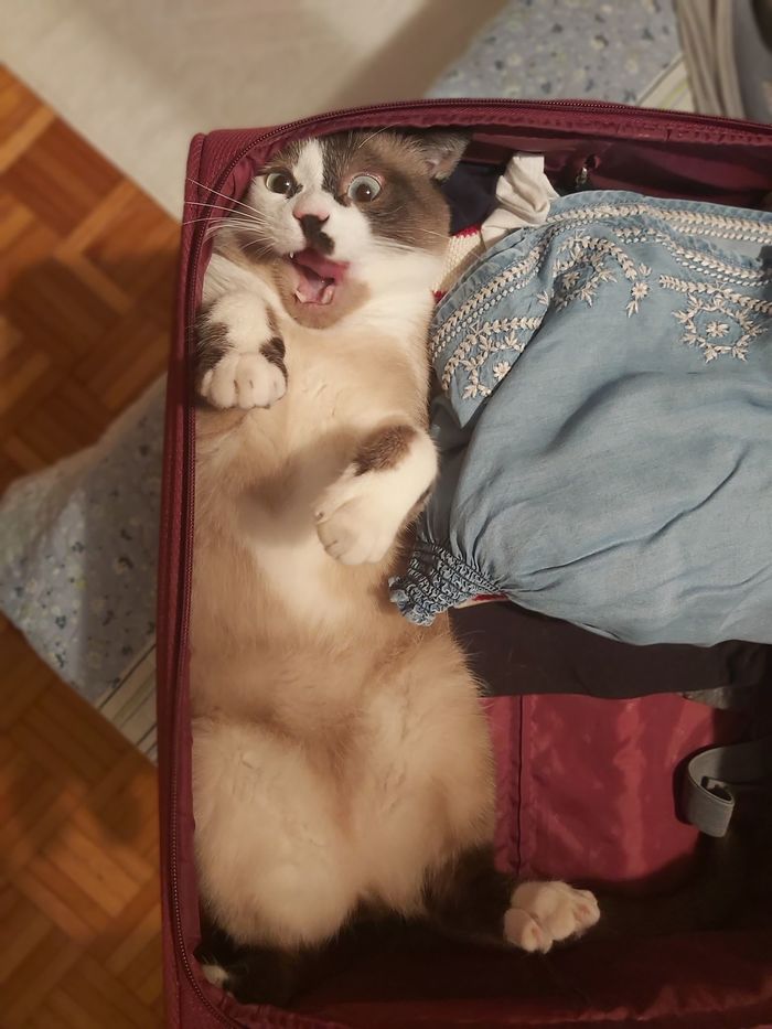  À ÿ ãîâîðþ: Íèêòî íèêóäà íå åäåò!