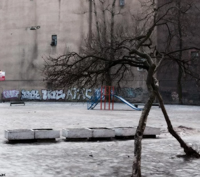 Ребята, спасибо за вечер, я пойду - Хтонично, Дерево, Пятница, Парейдолия