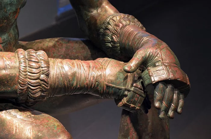 Boxer and non-boxers - The photo, Photo on sneaker, Longpost