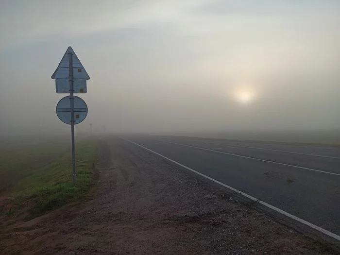 Search dawns - My, The photo, Fog, Moscow region