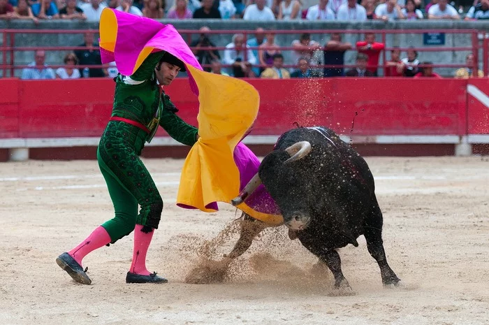 Bullfight - My, Spain, Bullfight, Bullfights, Mat, Longpost