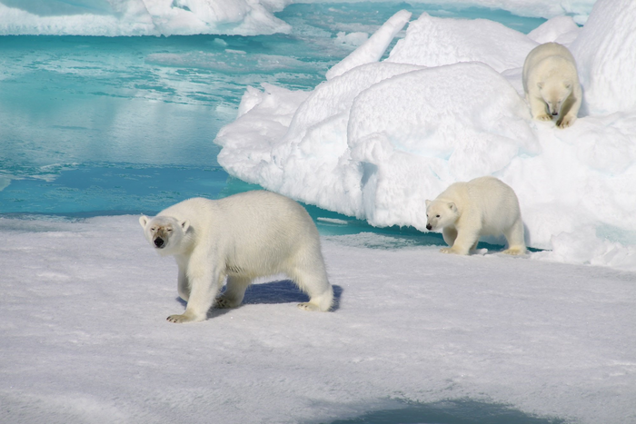 Эта мама хорошая добытчица оказалась)