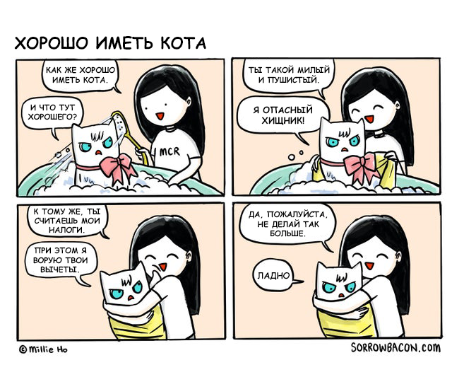 Cat - Comics, Translation, cat, Tax