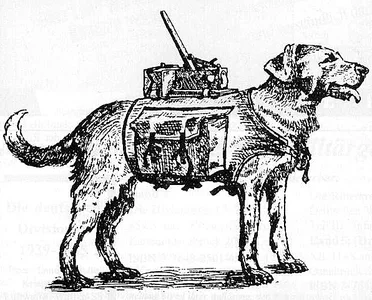 Собаки-истребители танков на Курской дуге и не только - История, Великая Отечественная война, Собака, Вторая мировая война, Длиннопост, Противотанковые собаки