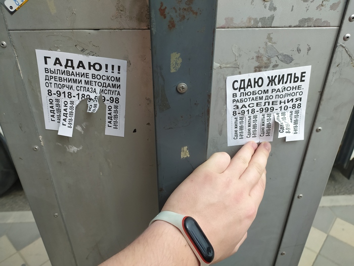 ��� ���� �������