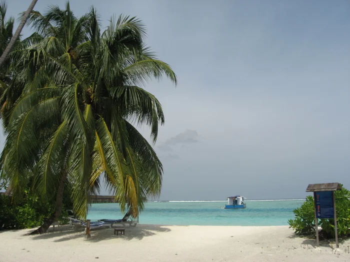 A little bit of the Maldives - My, The photo, Maldives, Sea, Palm trees, Sand, Beach, Relaxation, Longpost