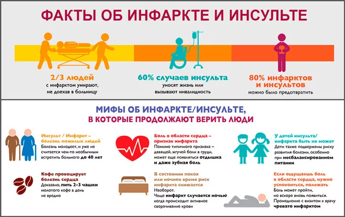 About half of people die from heart attack and stroke. A broader view of the causes - My, Negative, Health, Heart attack, Stroke, Ihd, Video, Longpost