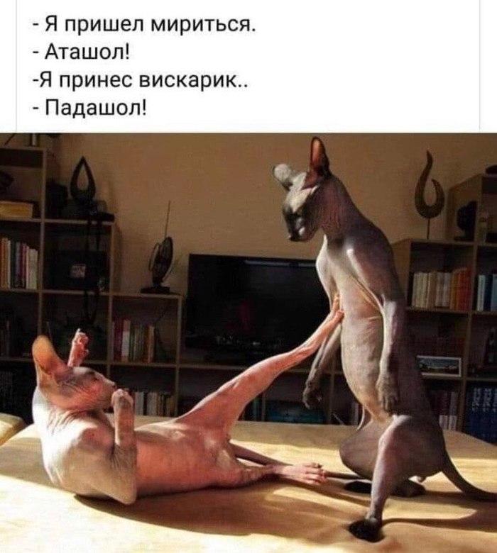 Всё как у людей