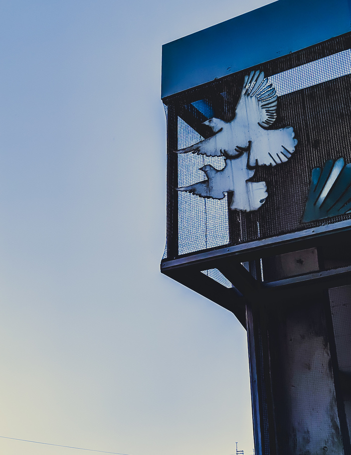 � ������