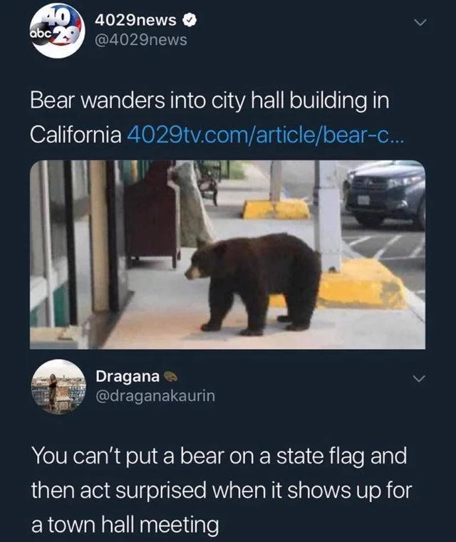 Great response to an incident! - The Bears, California, Flag, City hall, Lake Tahoe, Incident, Answer, Humor, Video, Longpost