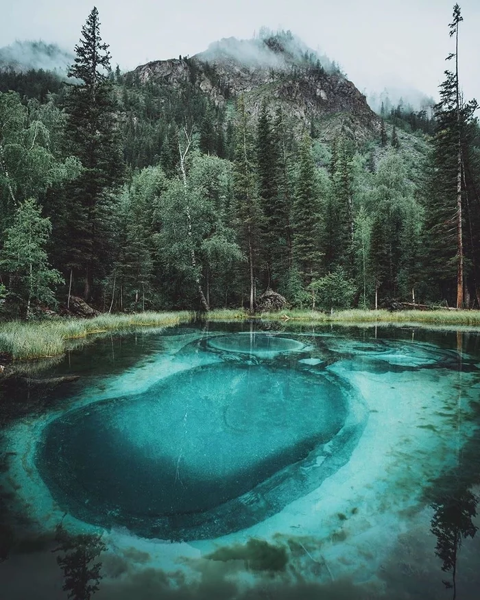 Altai - The photo, Nature, Altai Republic, Russia, Forest, The mountains, Landscape, Geyser Lake