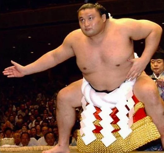 How sumo wrestlers lose weight - My, Japan, Sumo, Sumo wrestlers, Slimming