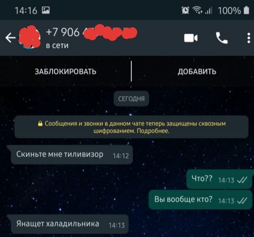 Неопределенность... - Моё, Whatsapp, Переписка, Диалог, Орфография, Юмор