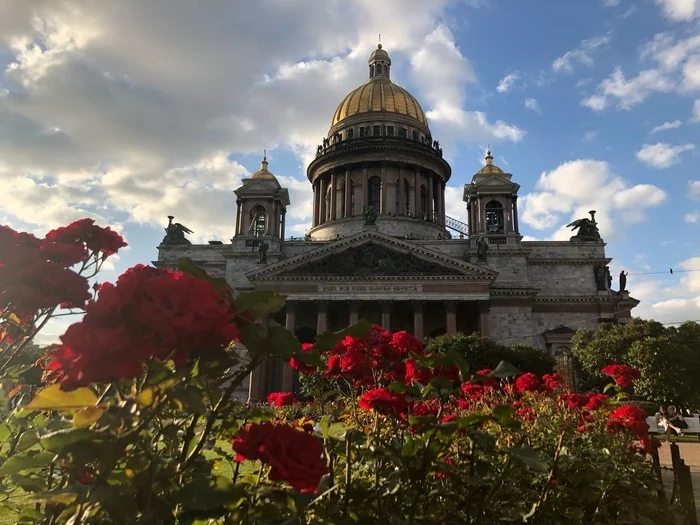 Tenderness - My, The photo, Architecture, beauty, Flowers, Sky, Historical building