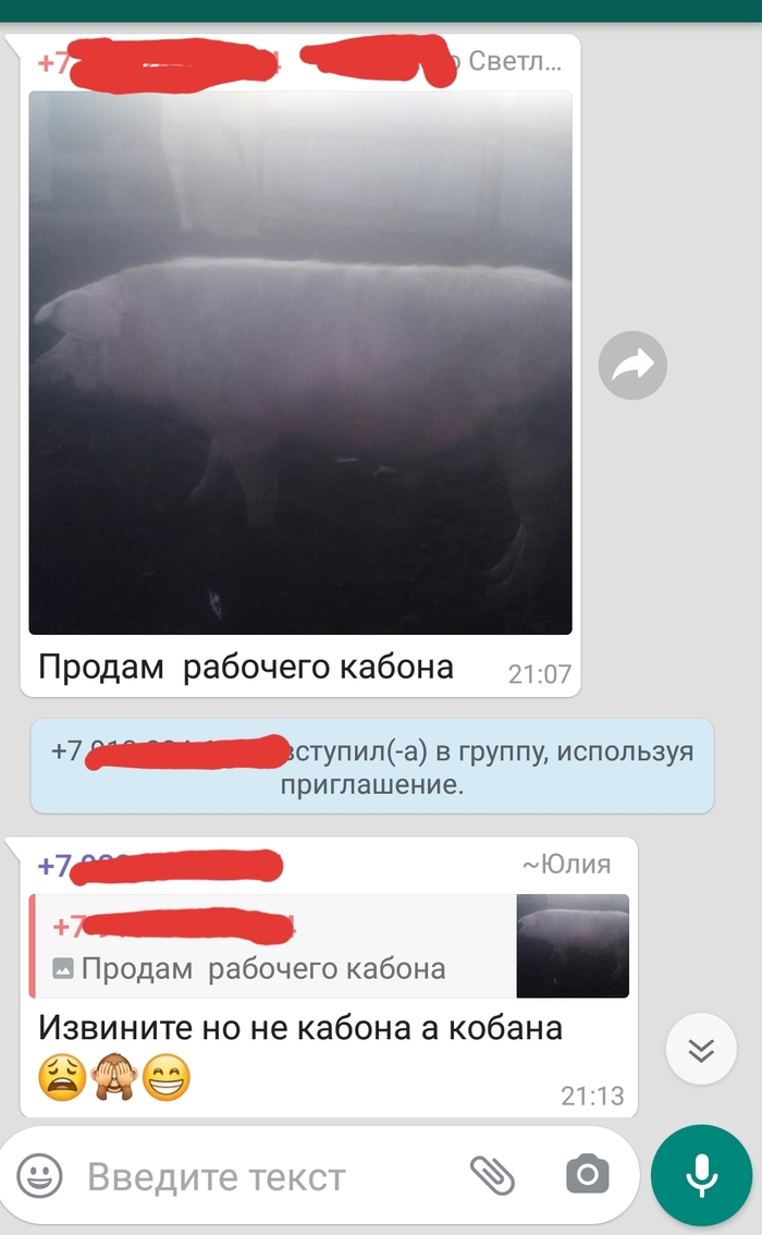 �������-����