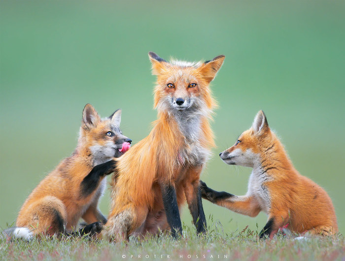 �������� ������