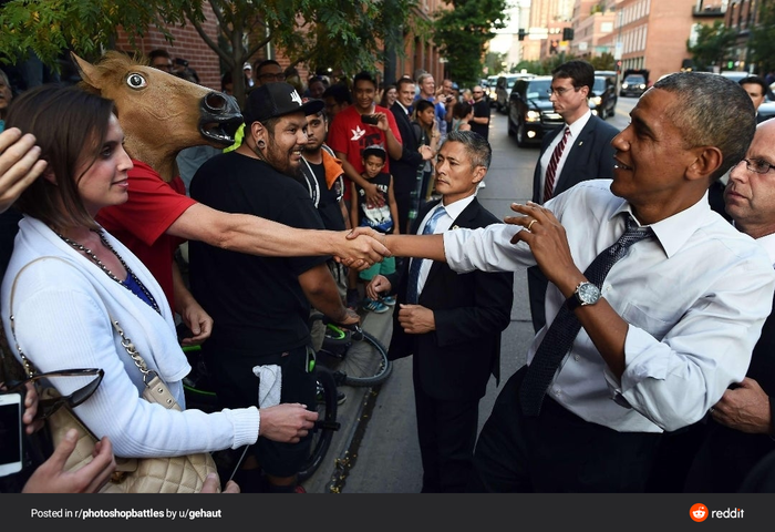 Как поздороваться с лошадью