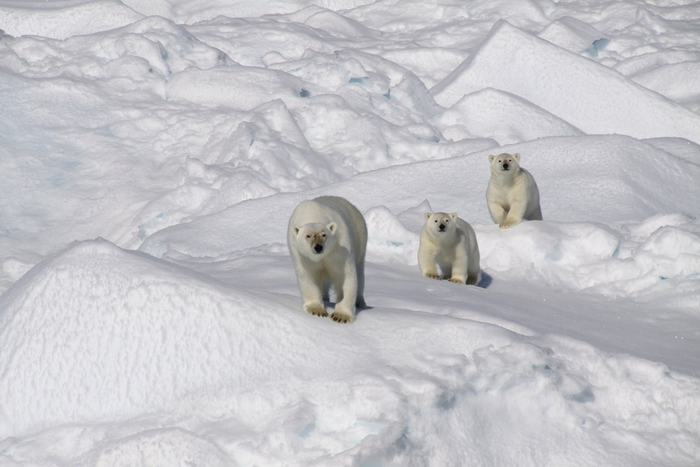 За маминой спиной, как за каменной стеной!