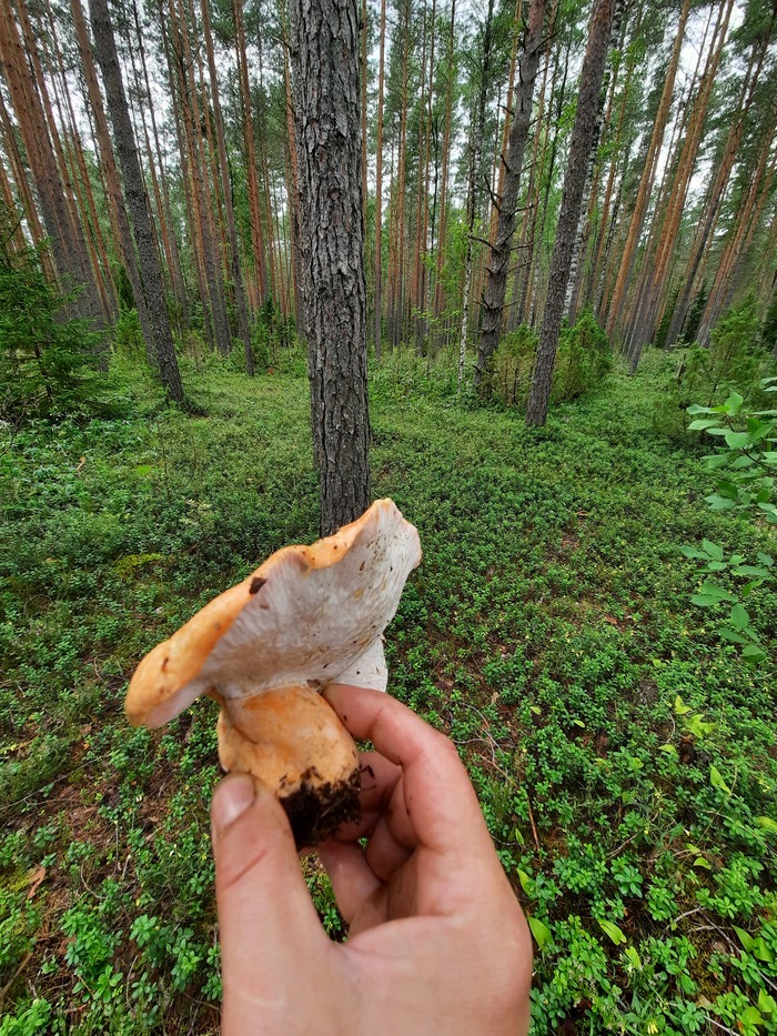 ��� ������ �����?