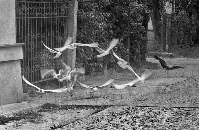 �� ��������. ������� ���������