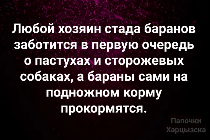 Абсолютно без намека - Картинка с текстом, Стадо, Бараны, Хозяин, Собака