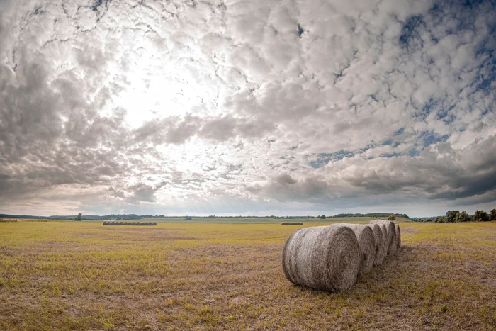 Haymaking - My, Nikon, Nikon d7000, Nature, Haymaking, Sky, The photo, Kaluga region