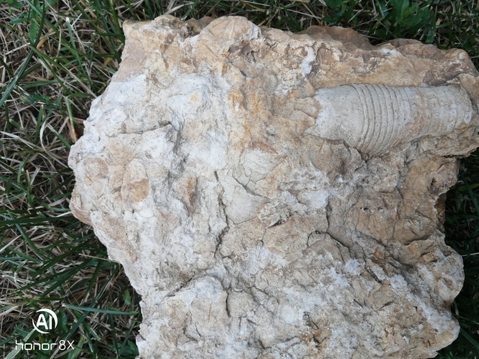 �������� ������������������� ��������� � ���������� �� ������������, �������� �� ����� ��� ��� ����� � ���� ����� ����������