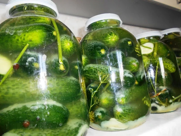 How to quickly and easily pickle cucumbers for the winter - My, Cooking, Salting, Useful, Longpost, Recipe, Salted cucumbers