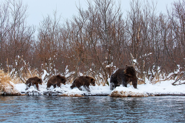 Впереди - уютная берлога...