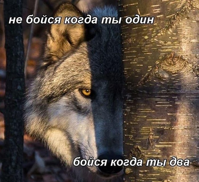 Одиночество