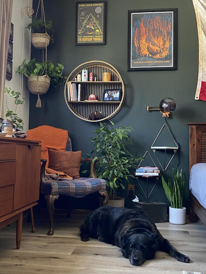 Cozy reading corner - The photo, House, Interior, beauty, Cosiness, Dog, Reading, Reddit