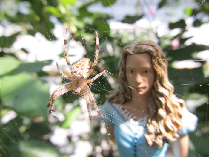       (Alice in Wonderland) Medicom    , , , ,  , 