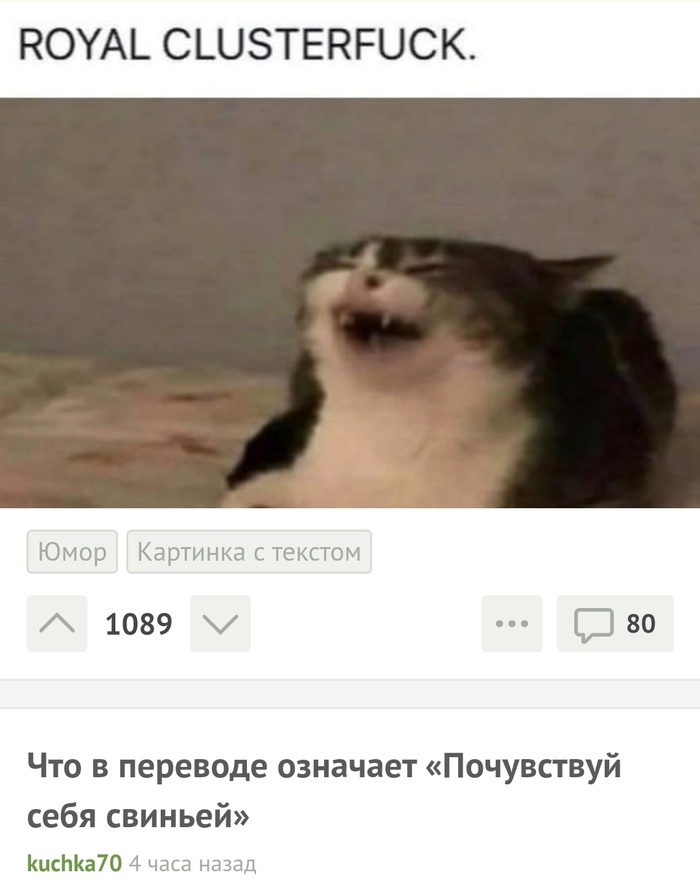 ,   , , 