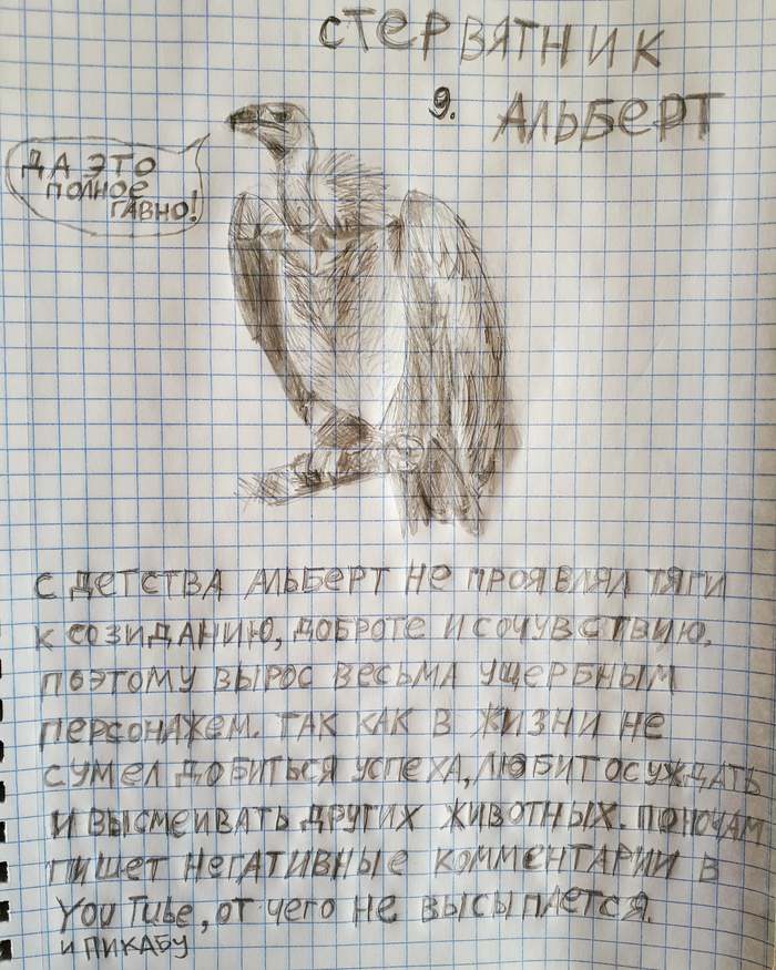 Zoo 9. Vulture Albert - My, Zoo, Vulture, Albert, Art, Humor, Pencil drawing, Pencil