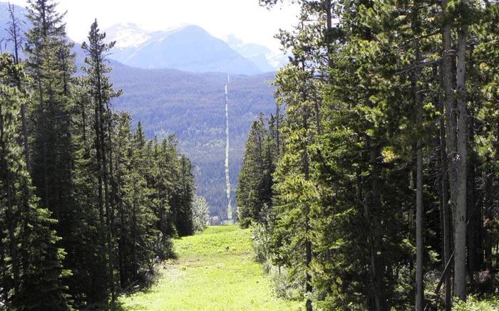The Canada-US border is the longest international border in the world. - The border, Canada, USA, Longpost, Article, Interesting