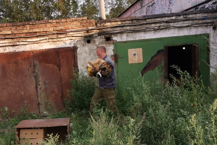 Volunteers rescued 15 cats and dogs locked in the garage of an animal collector - cat, Dog, Garage, Krasnoyarsk, Video, Longpost, Volunteering, Animal Rescue